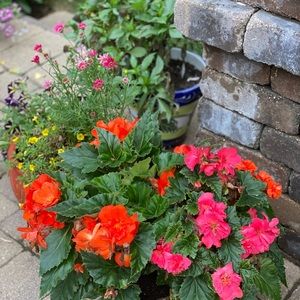 Meet your Posher, Gina